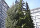 Giovane morto per pancreatite, 4 medici imputati