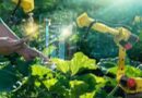 Agricoltura 4.0: Digitale, Tracciabilit\u00e0 Blockchain e Formazione per un Fut