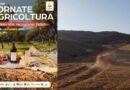 Valledolmo. XXV^ edizione “Giornate dell’agricoltura” dal 30 aprile al 4 maggio.
